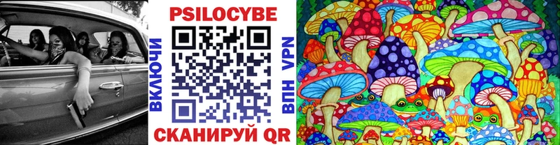 продажа наркотиков  МЕГА онион  Галлюциногенные грибы MAGIC MUSHROOMS  маркетплейс Telegram  Талица 